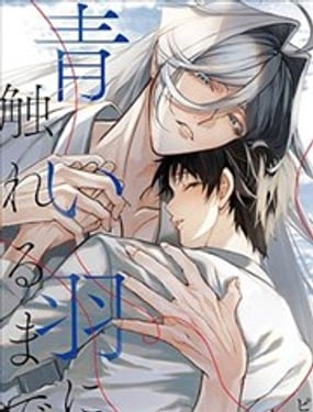在触碰青色羽毛之前