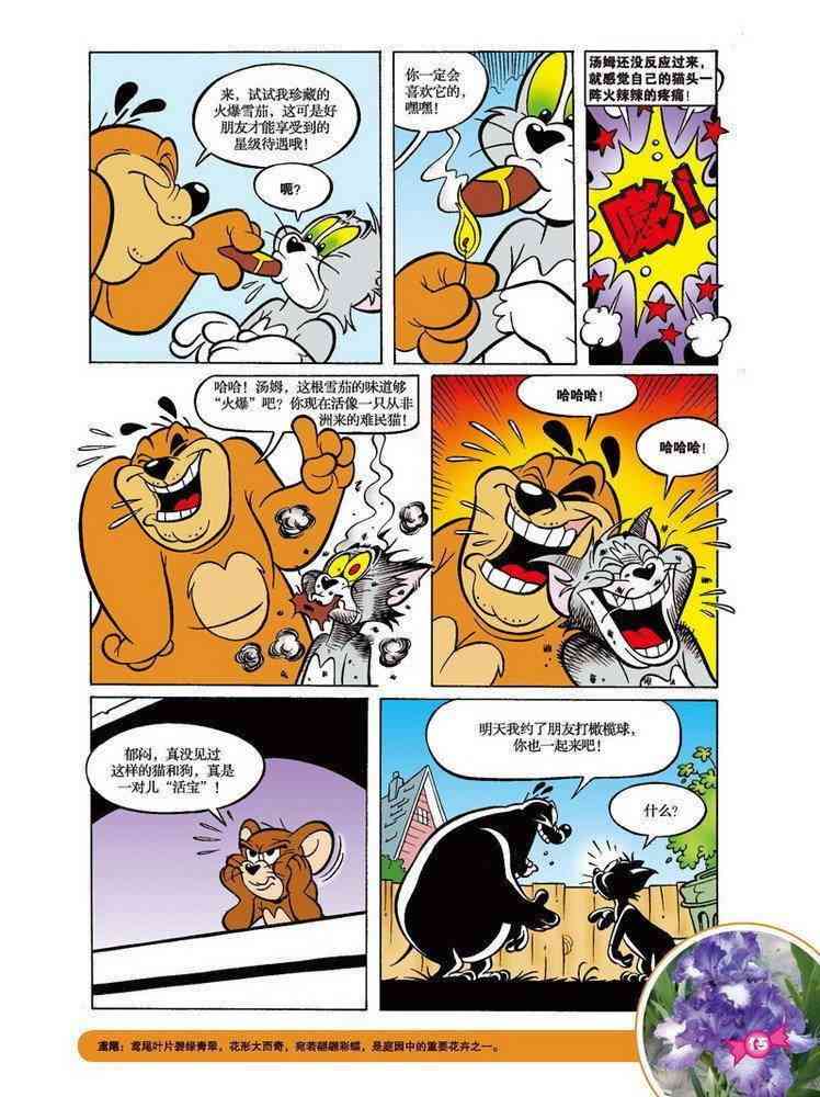 猫和老鼠 - 第58话 - 第12张图