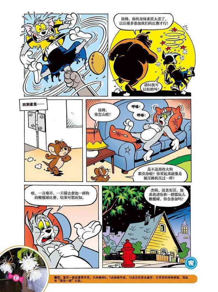 猫和老鼠 - 第58话 - 第15张图