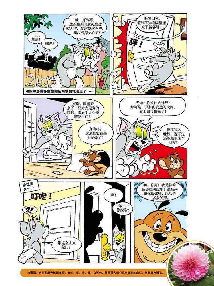 猫和老鼠 - 第58话 - 第2张图