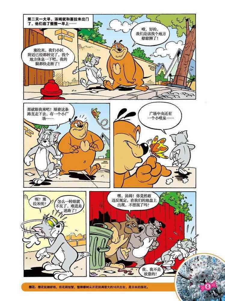 猫和老鼠 - 第58话 - 第8张图