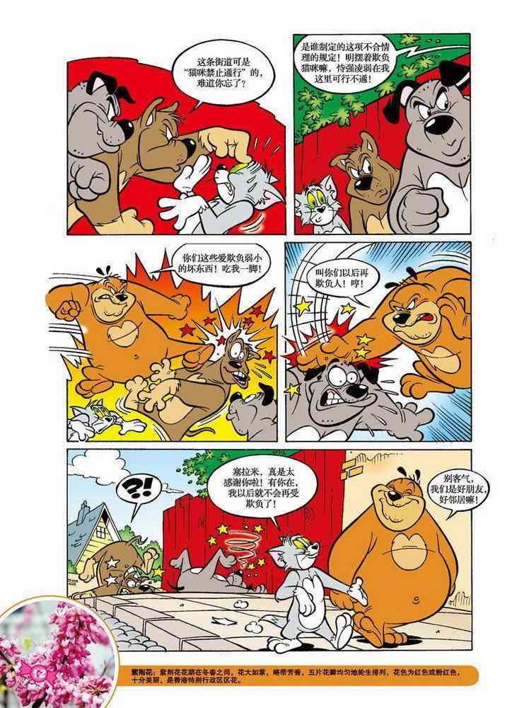 猫和老鼠 - 第58话 - 第9张图