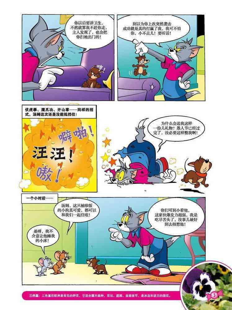 猫和老鼠 - 第60话 - 第4张图