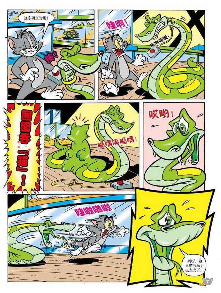 猫和老鼠 - 第82话 - 第5张图