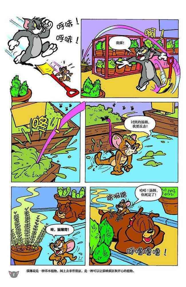 猫和老鼠 - 第105话 - 第5张图