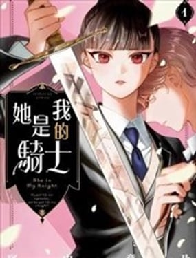 她是我的骑士