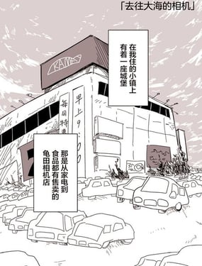 去往大海的相机
