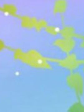 Цլ֮ĺ