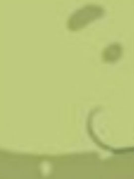 (g)