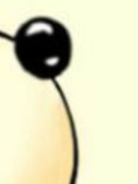 NС
