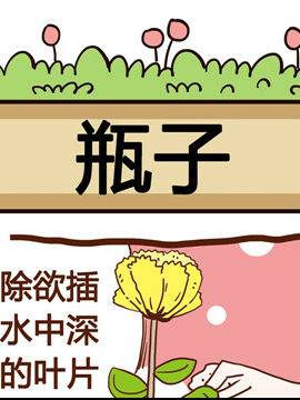 ㌦(du)ֲ֪֮ƿ
