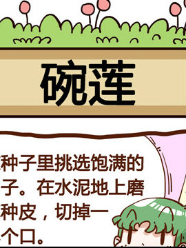 ㌦(du)ֲ֪֮ɏ