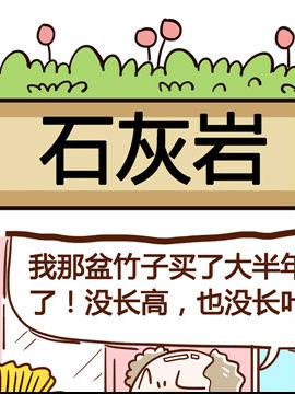 ㌦(du)ֲ֪֮ʯ?gu)r