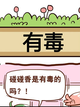 ㌦(du)ֲ֪֮ж