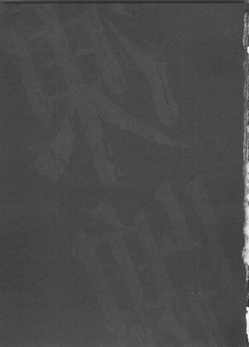 冻牌 - 第01话 - 第4张图