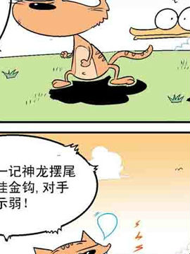 野生族二十四