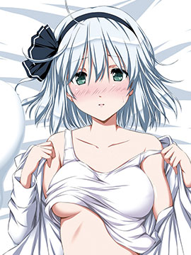 冰精妖梦