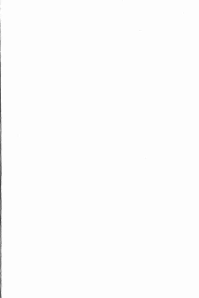 那个夏天的回忆 - VOL01 - 第2张图