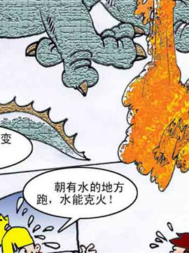 D(zhun)12