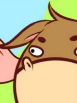 hi