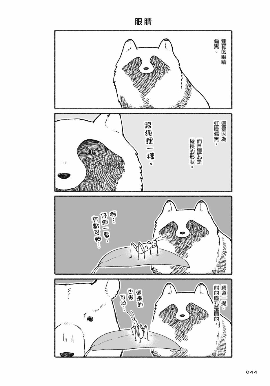 熊和狸猫 - 第01卷 - 第46张图