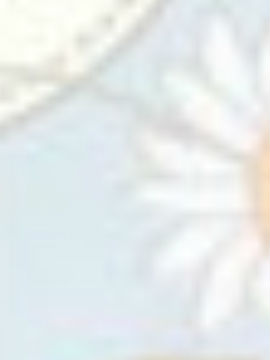 Ⱦ˾