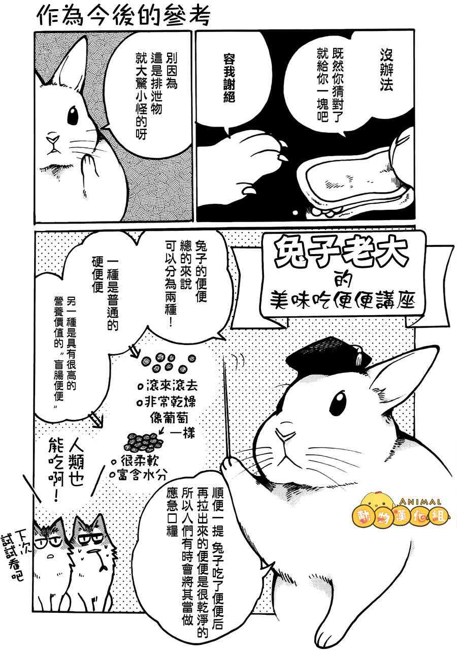 兔子即是正义 - 第03话 - 第7张图