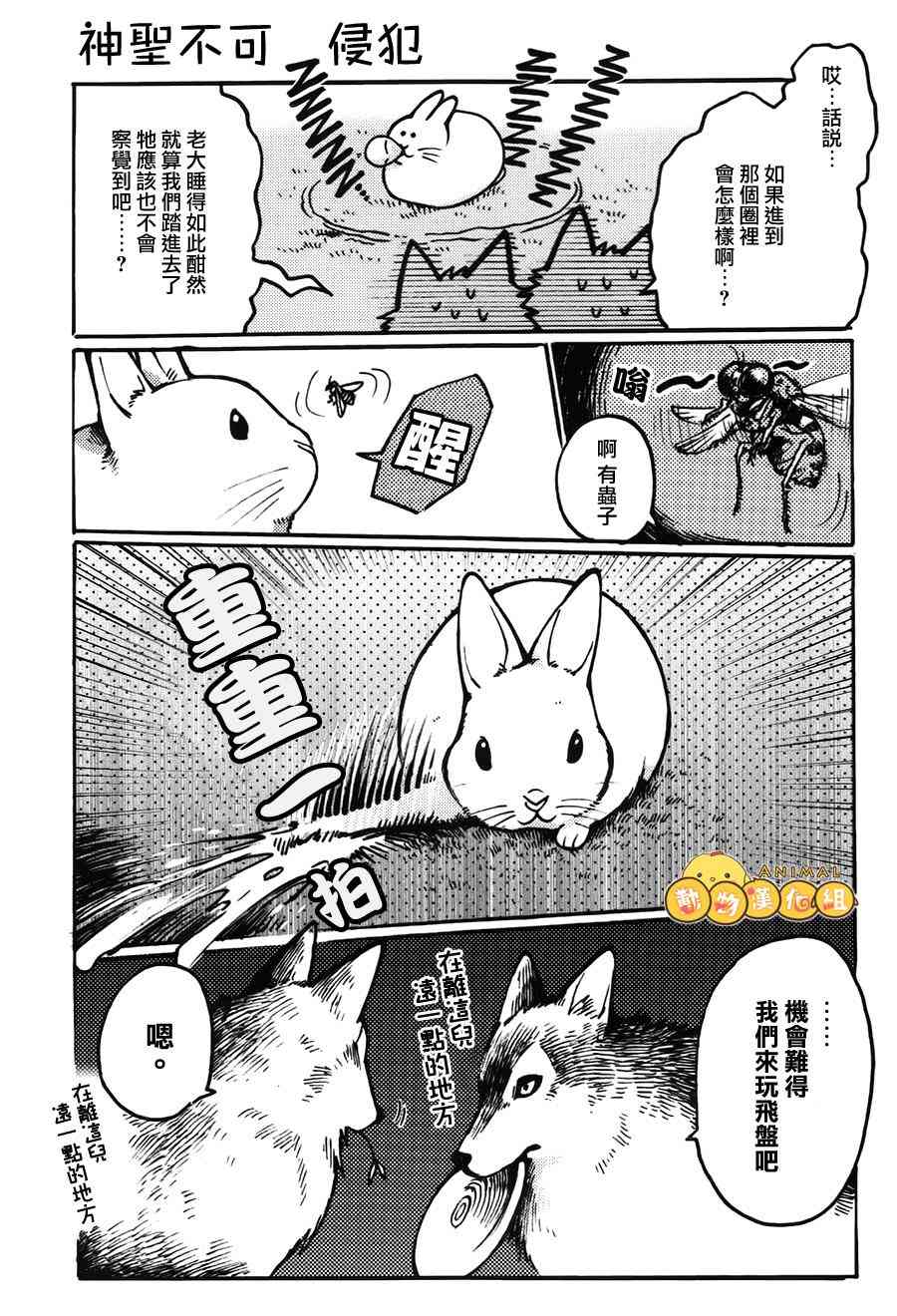 兔子即是正义 - 第03话 - 第9张图