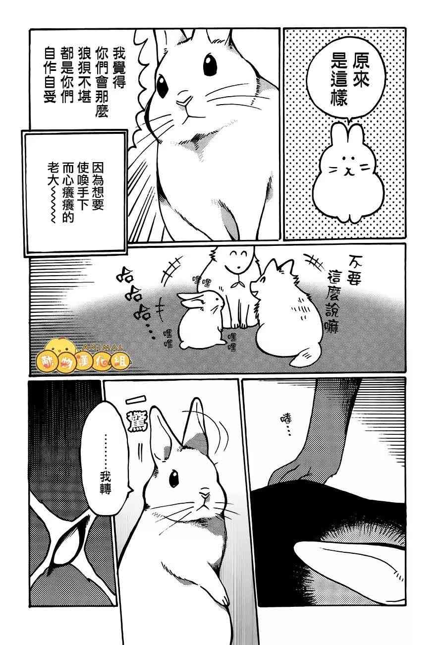 兔子即是正义 - 第04话 - 第8张图