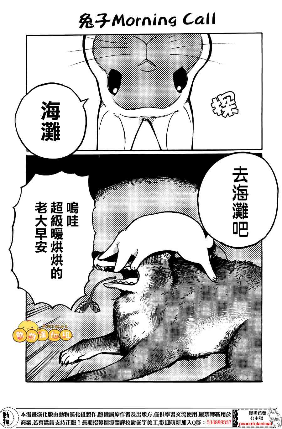 兔子即是正义 - 第06话 - 第1张图