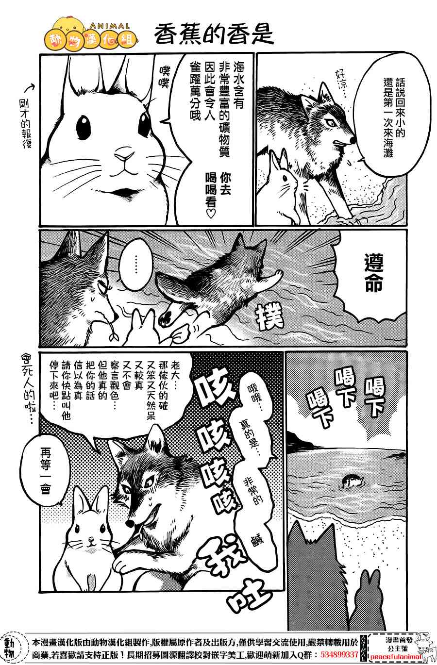 兔子即是正义 - 第06话 - 第9张图