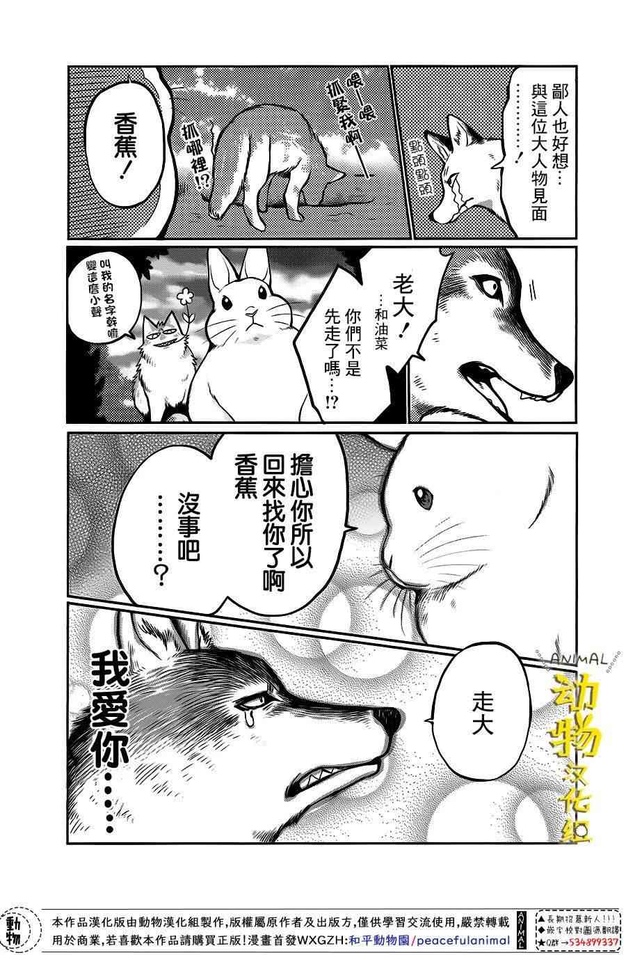 兔子即是正义 - 第12话 - 第13张图