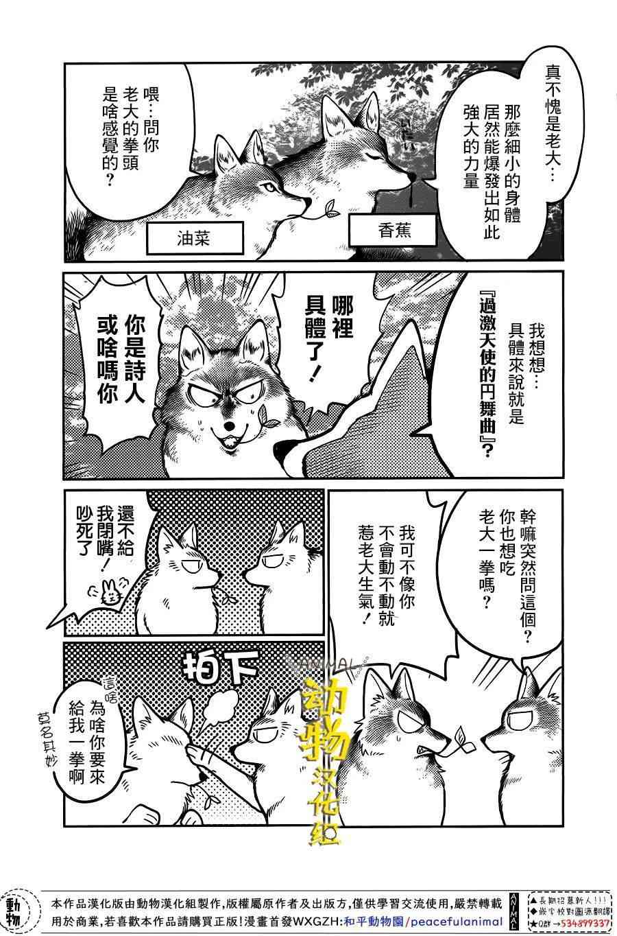 兔子即是正义 - 第12话 - 第3张图