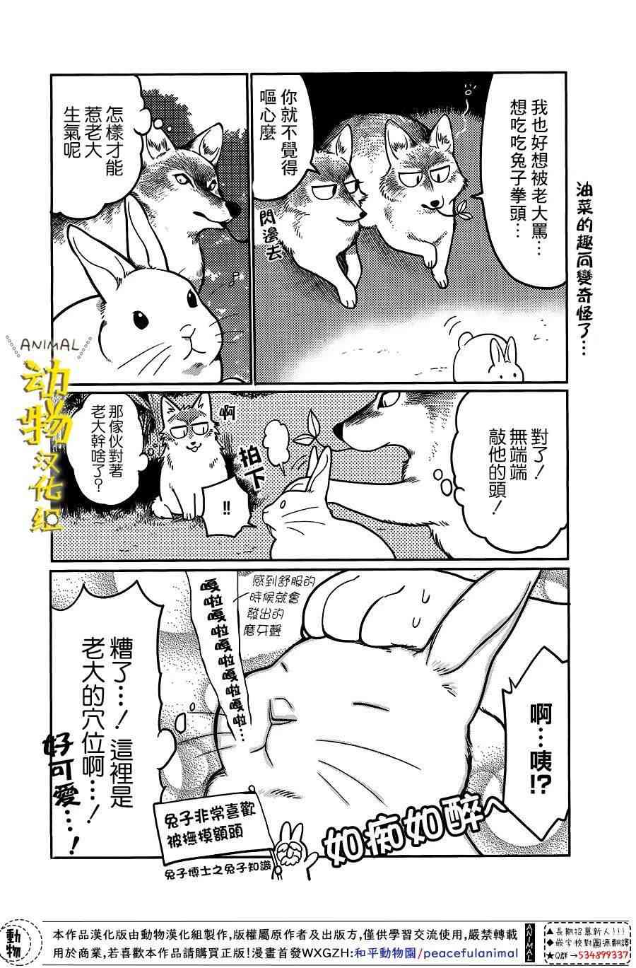 兔子即是正义 - 第12话 - 第4张图