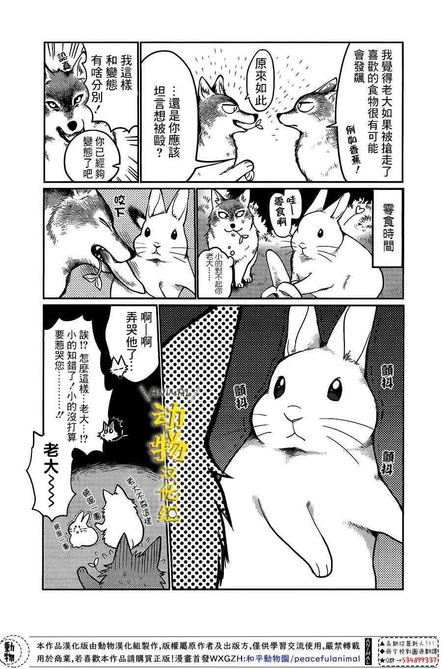 兔子即是正义 - 第12话 - 第5张图