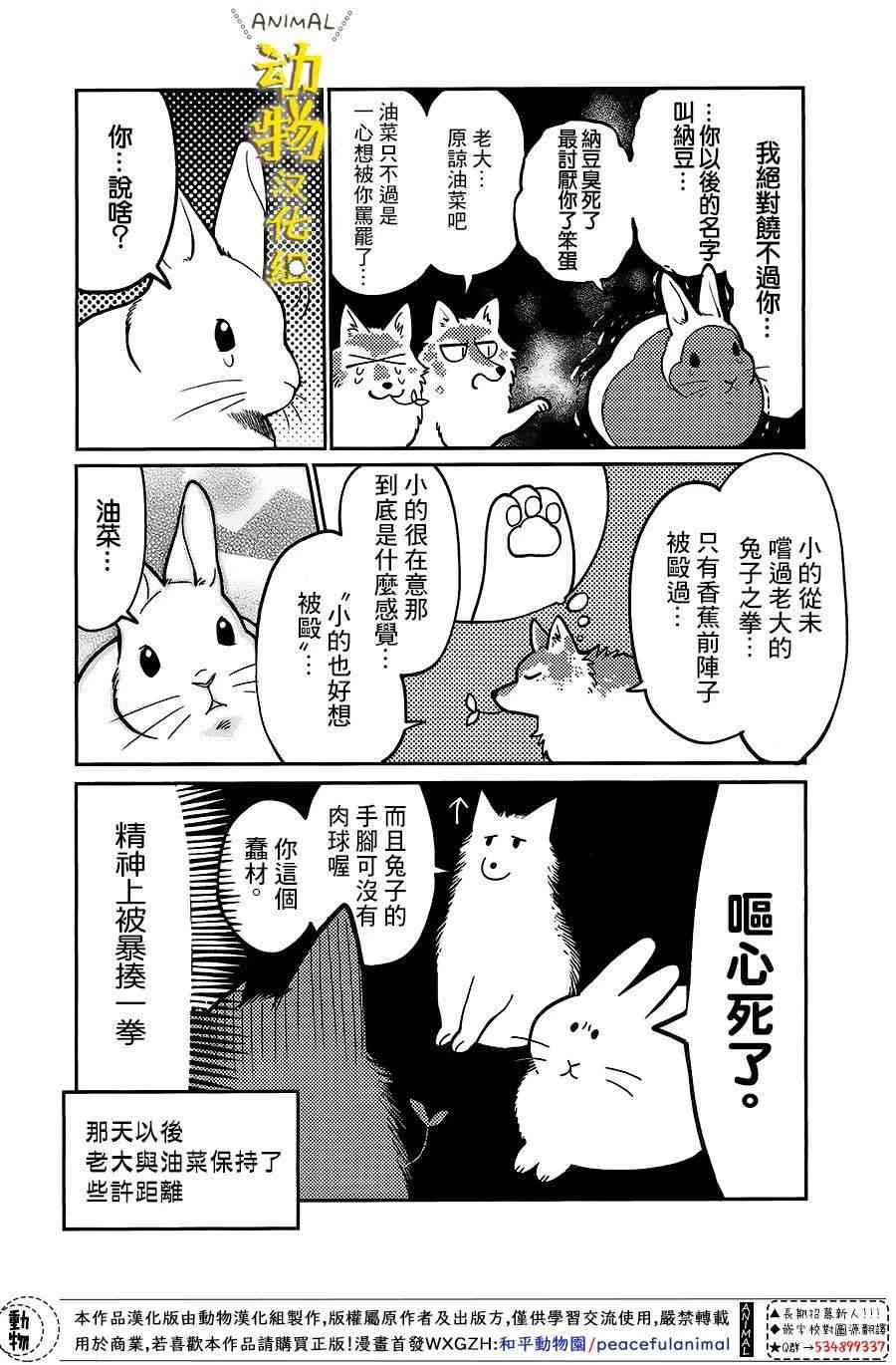 兔子即是正义 - 第12话 - 第6张图