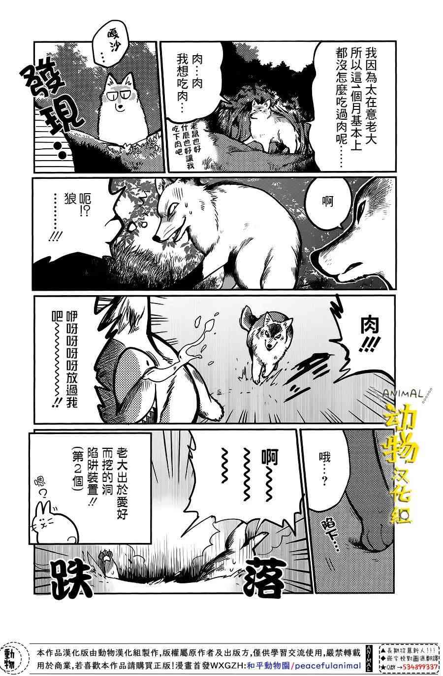 兔子即是正义 - 第12话 - 第8张图