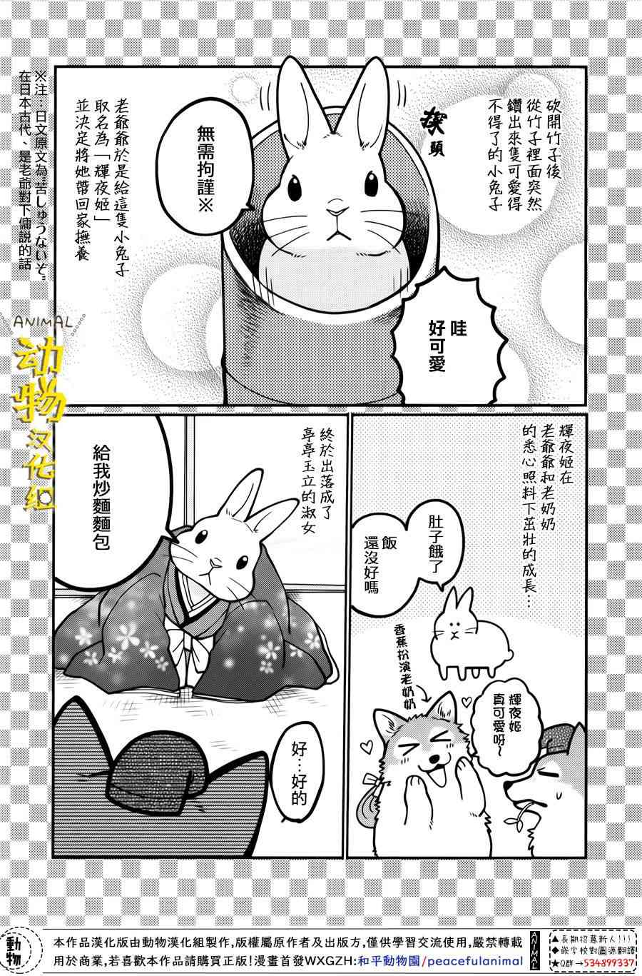 兔子即是正义 - 第14话 - 第4张图