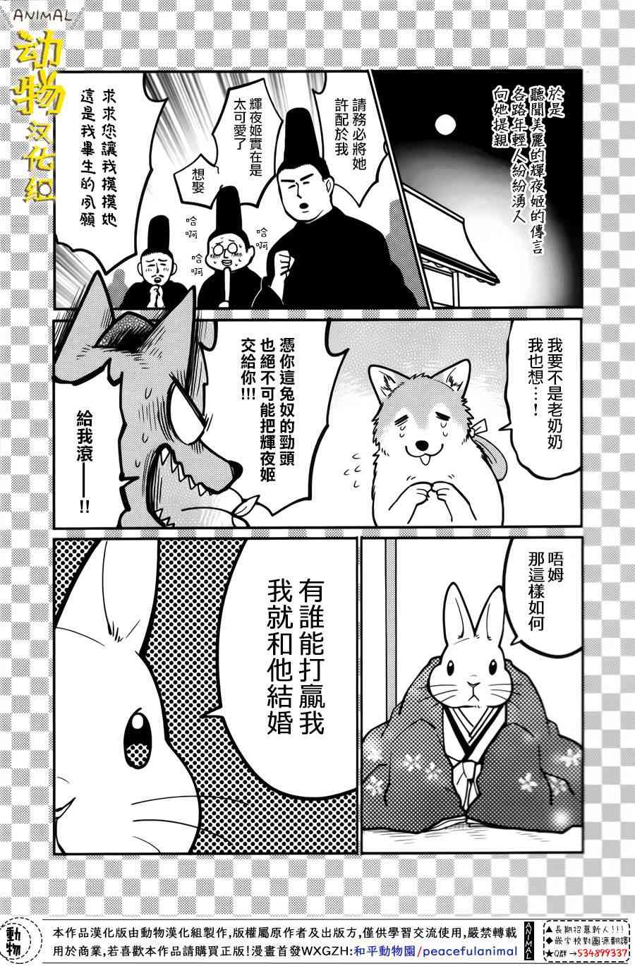 兔子即是正义 - 第14话 - 第5张图