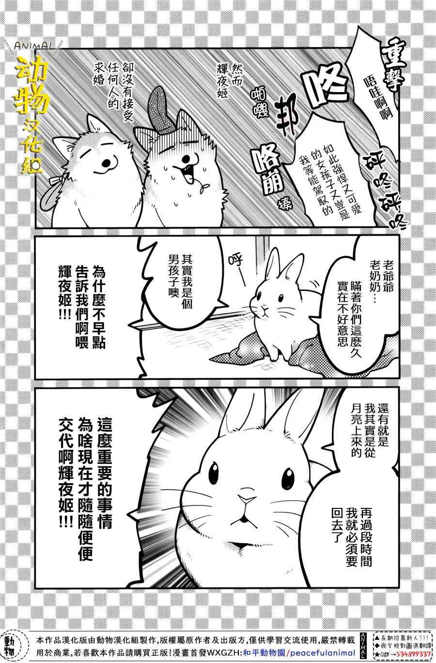 兔子即是正义 - 第14话 - 第6张图