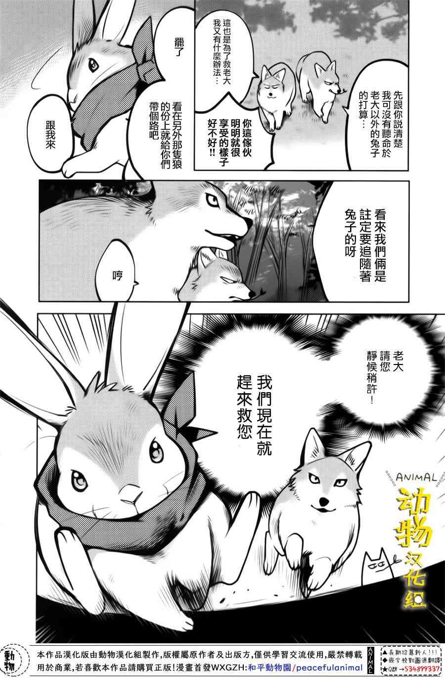 兔子即是正义 - 第13话 - 第12张图