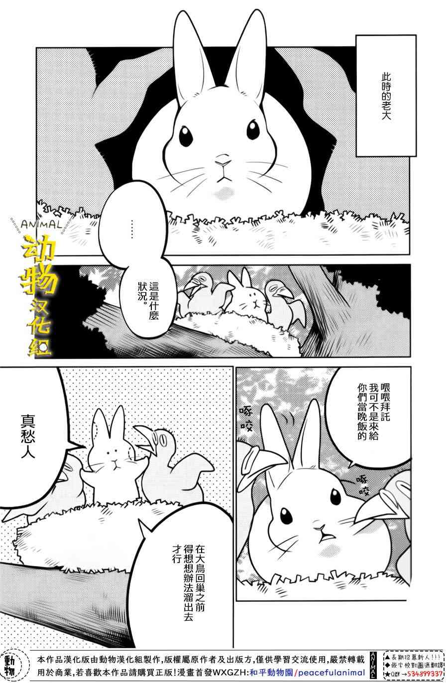 兔子即是正义 - 第13话 - 第13张图