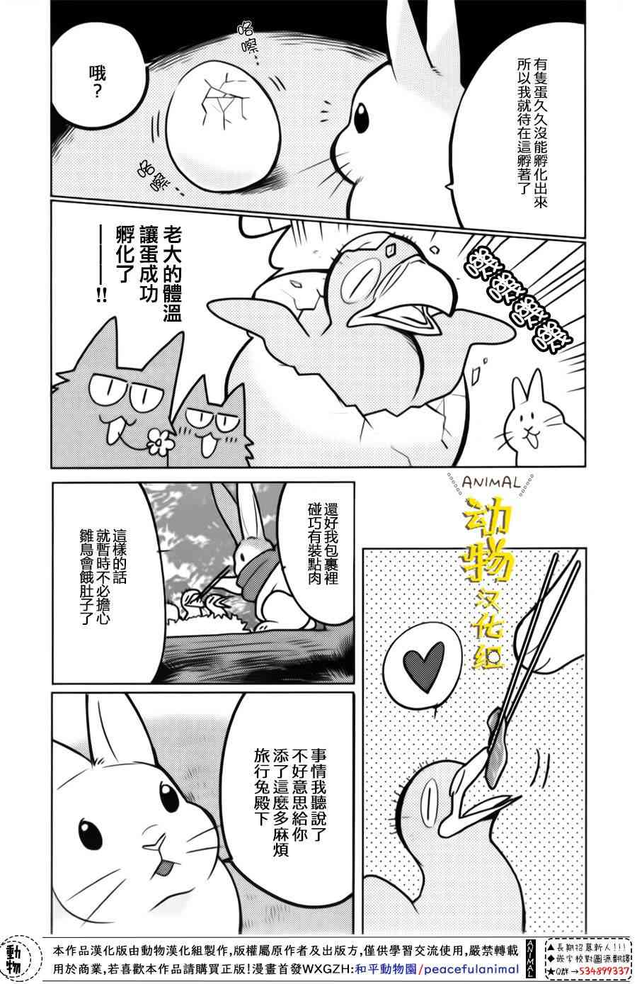 兔子即是正义 - 第13话 - 第19张图