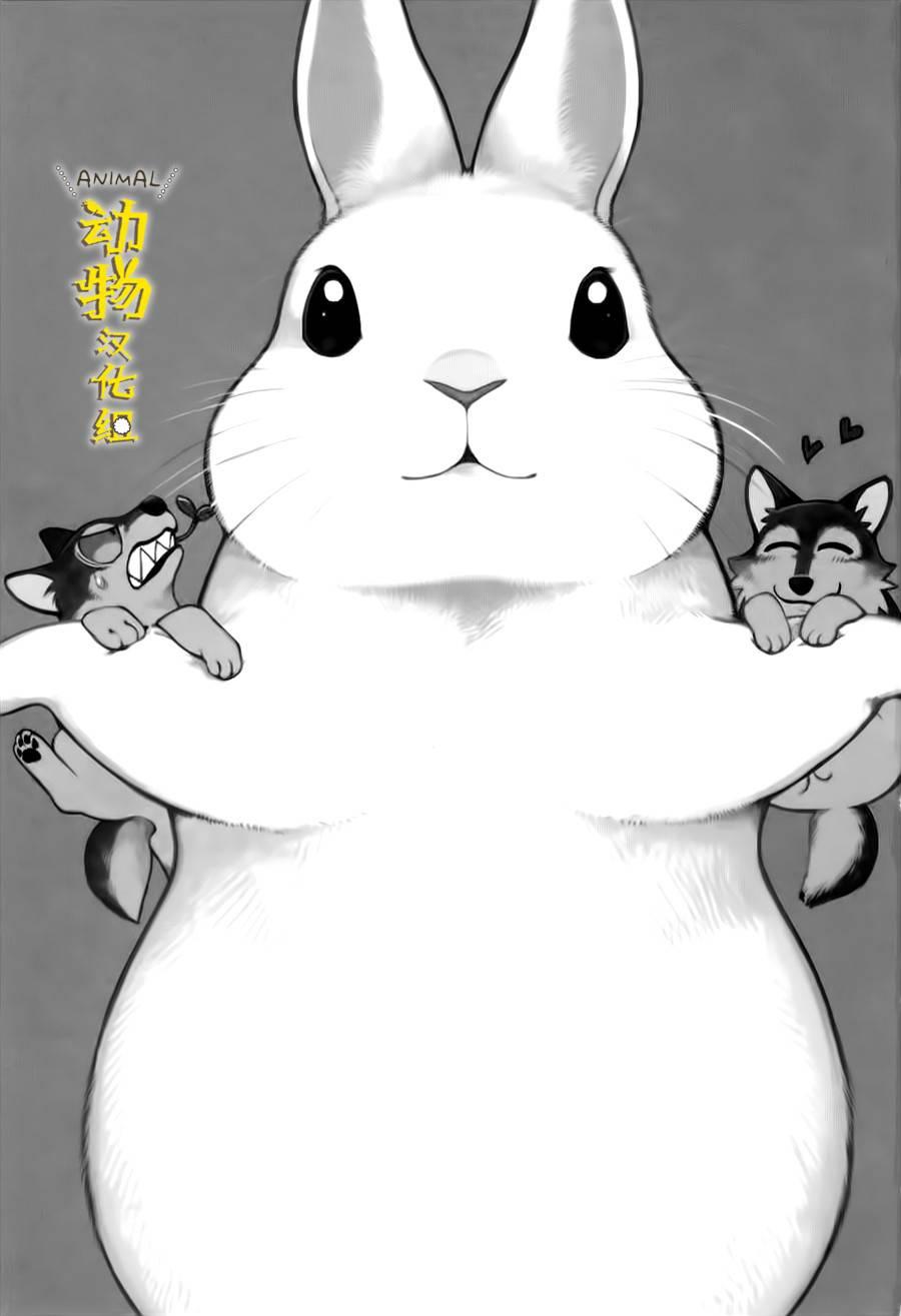 兔子即是正义 - 第13话 - 第3张图