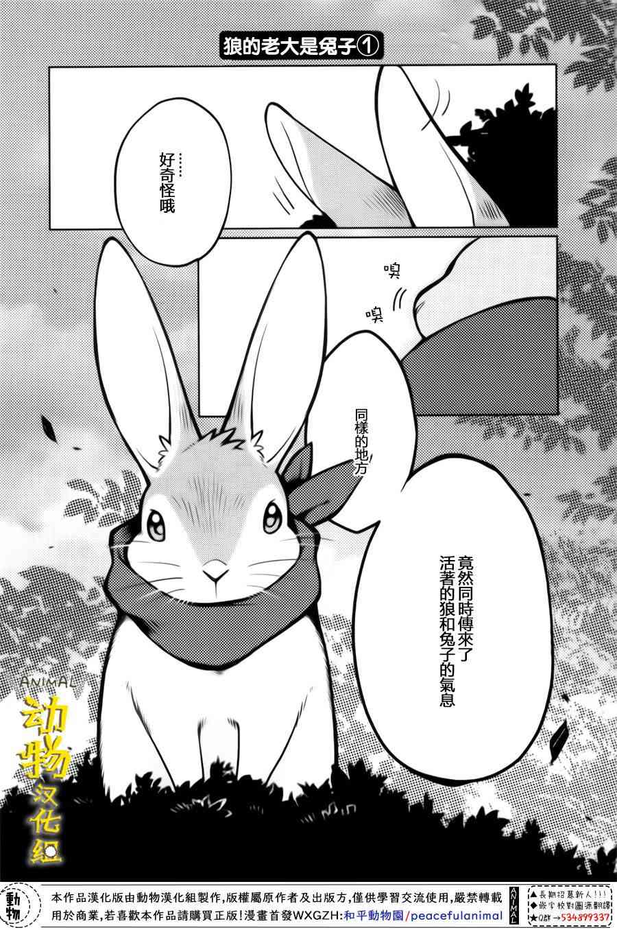 兔子即是正义 - 第13话 - 第5张图