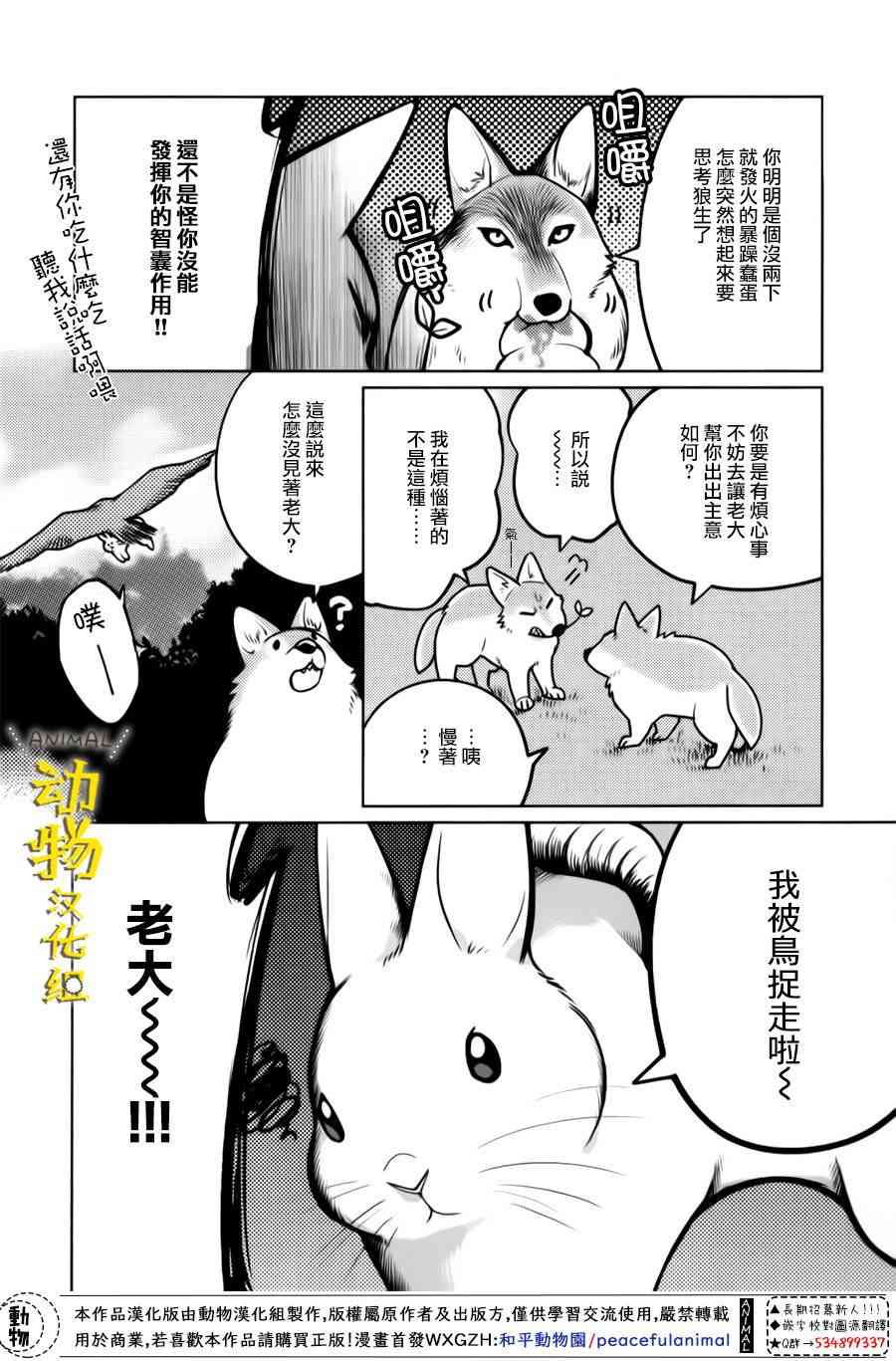 兔子即是正义 - 第13话 - 第8张图