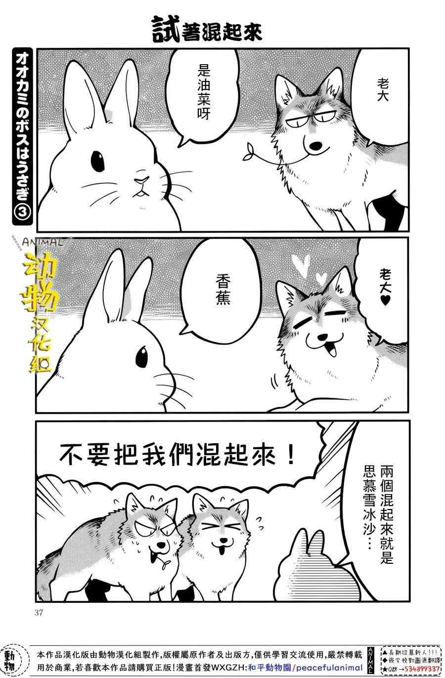 兔子即是正义 - 第15话 - 第1张图