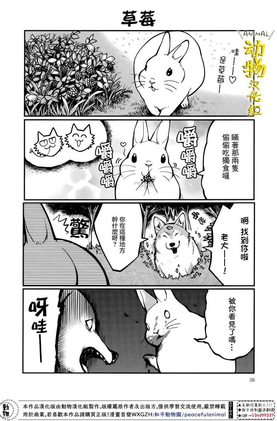 兔子即是正义 - 第15话 - 第2张图