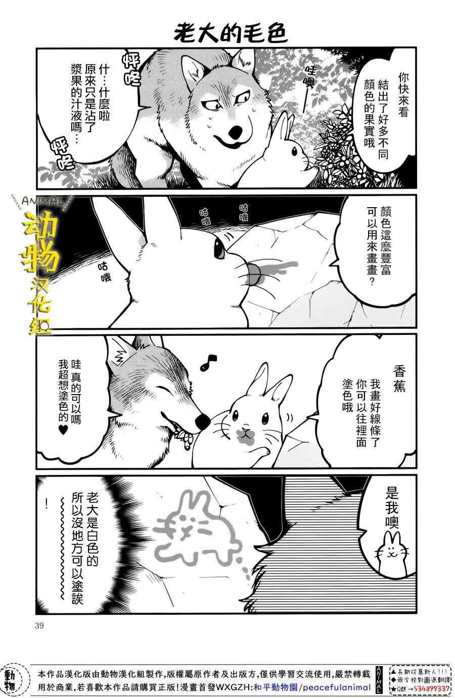 兔子即是正义 - 第15话 - 第3张图