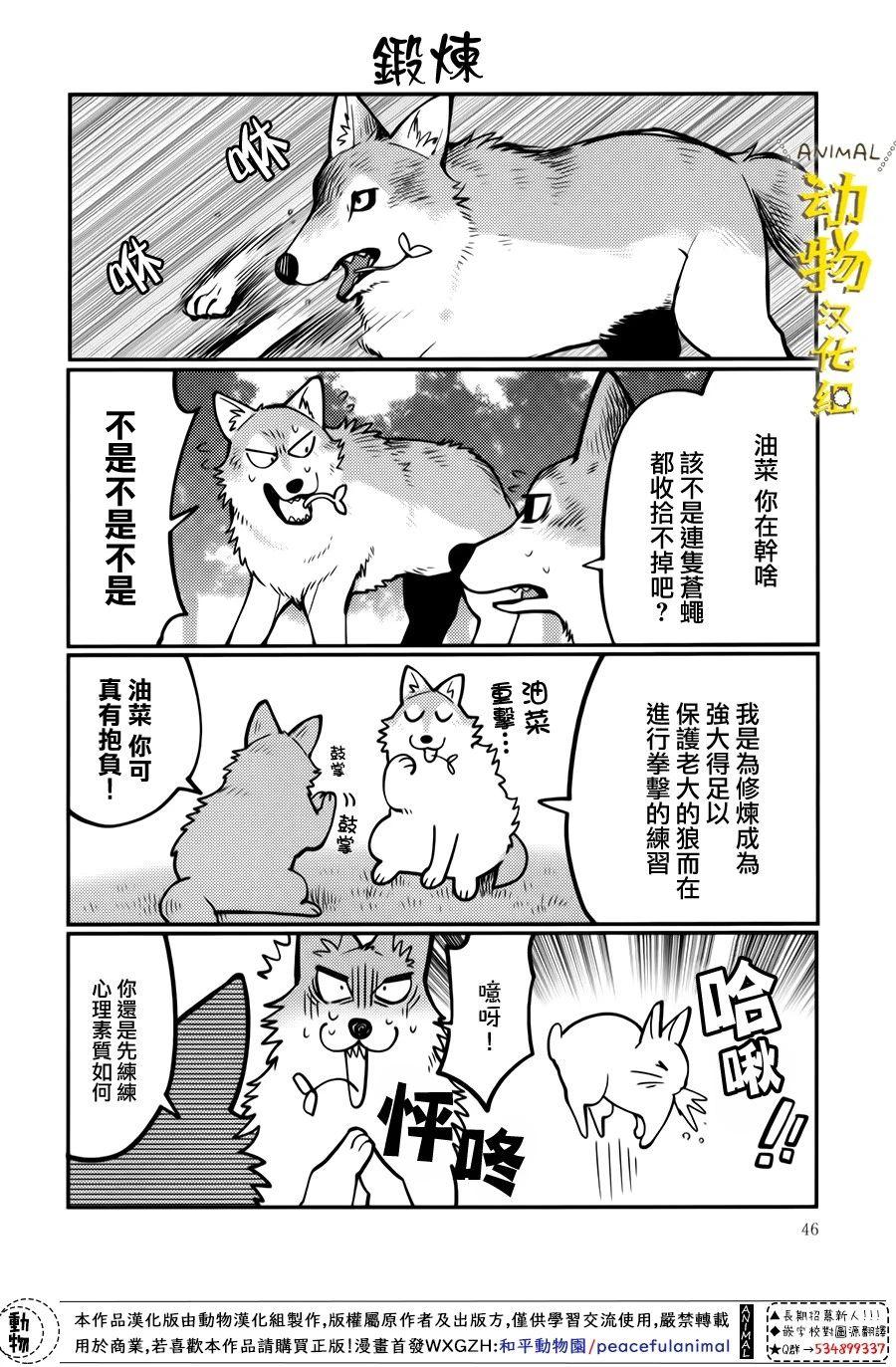 兔子即是正义 - 第16话 - 第4张图